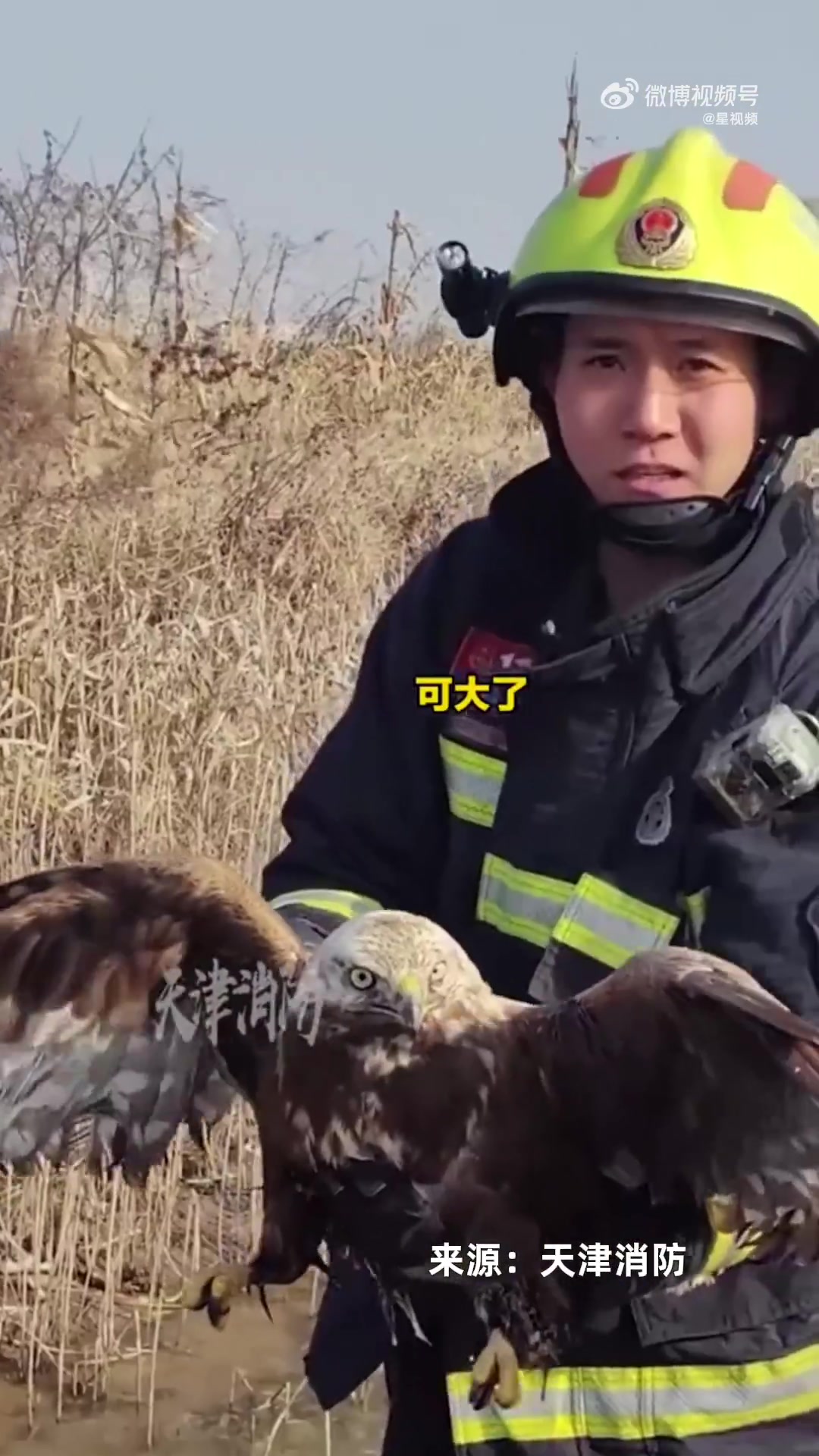 老鹰“虎落平阳”，屁股被冻在冰面动弹不得民警消防到场顺利救出