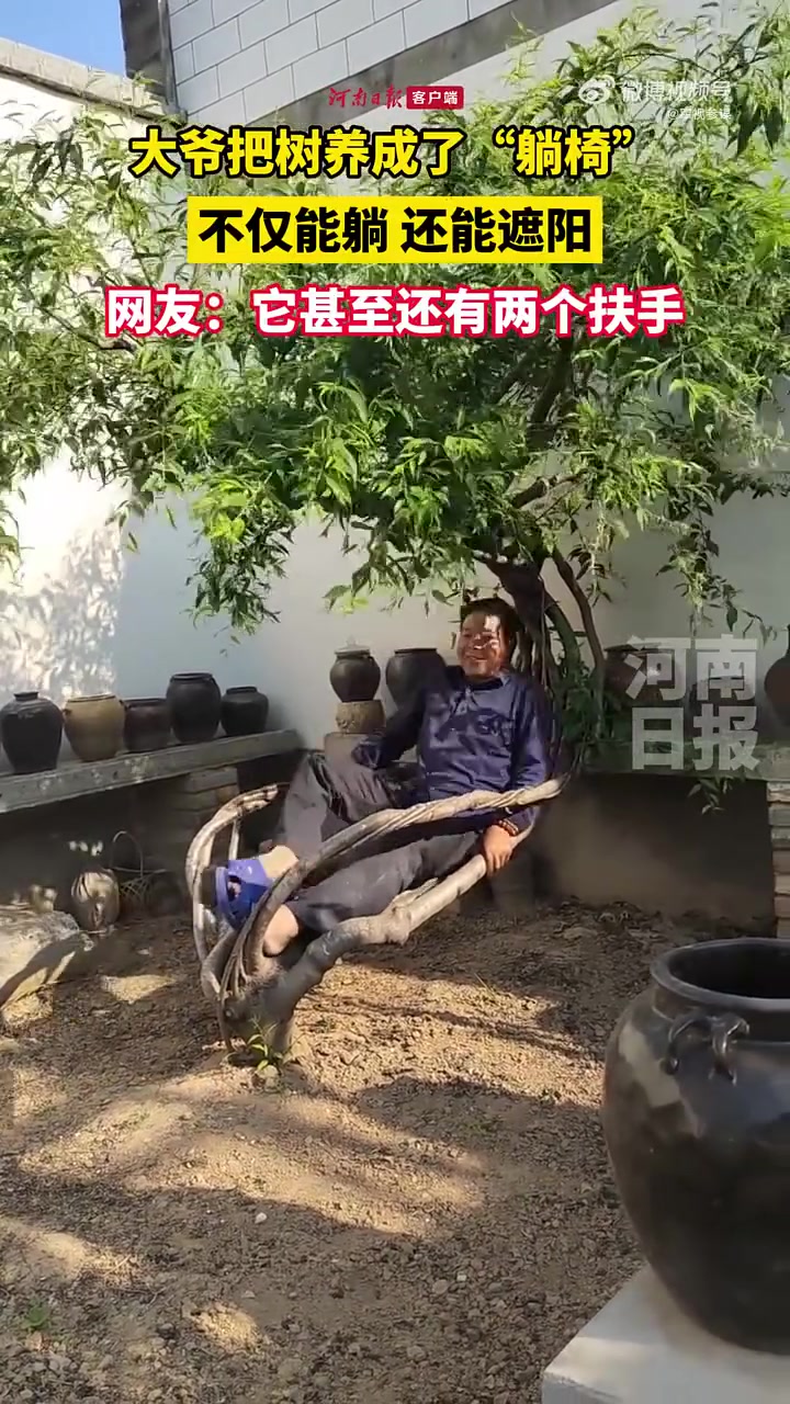 万万没想到大爷把树养成了“躺椅”，不仅能躺，还能遮阳