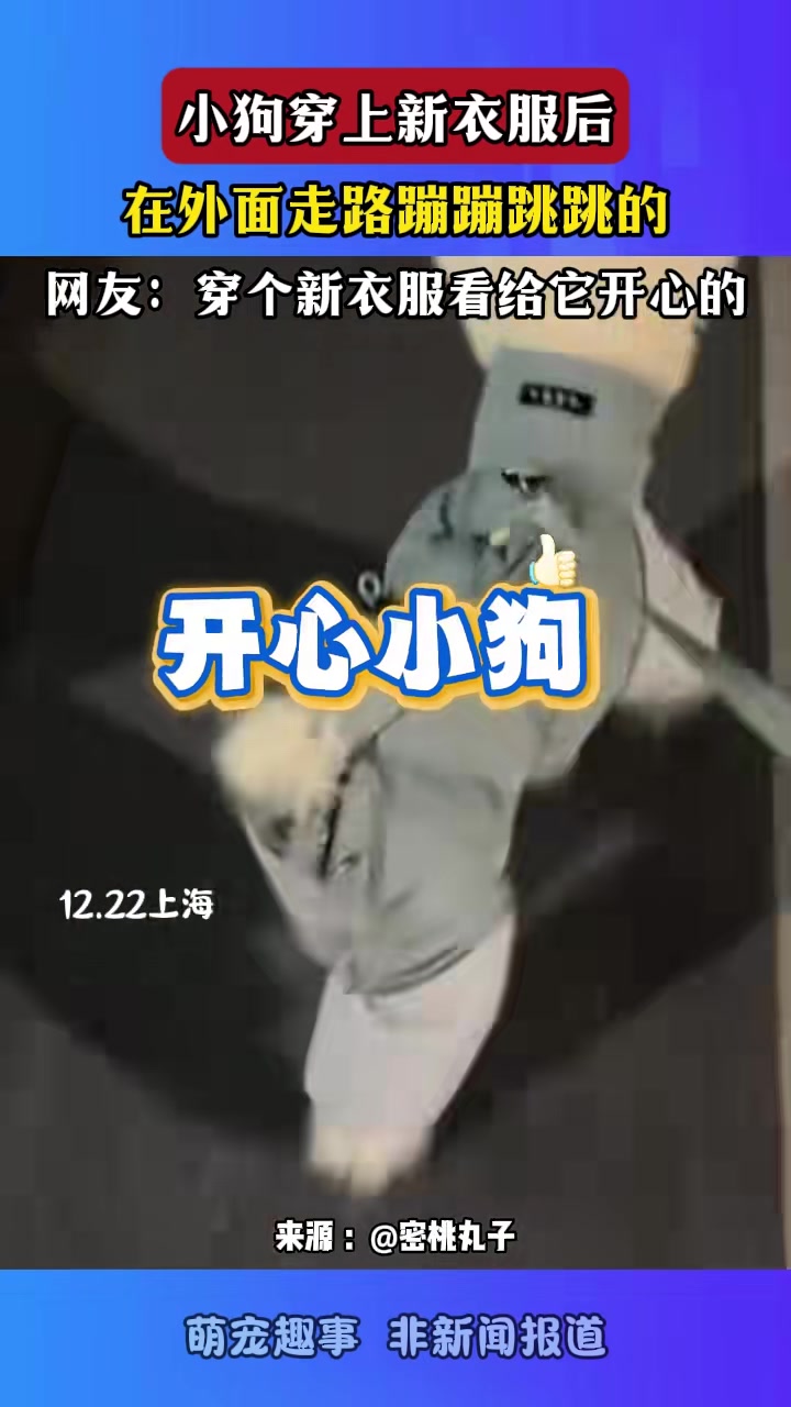 小狗穿上新衣服后，在外面走路蹦蹦跳跳的