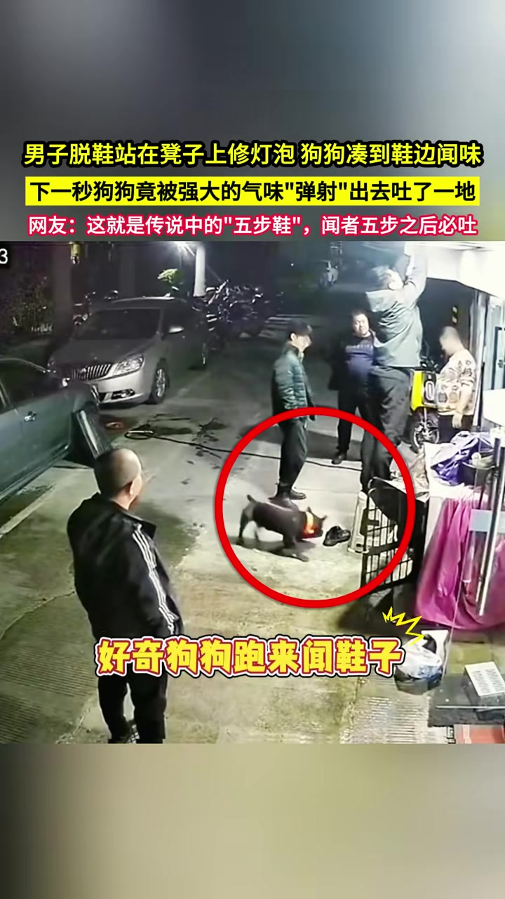 男子脱鞋站在凳子上修灯泡，狗狗凑到鞋边闻味