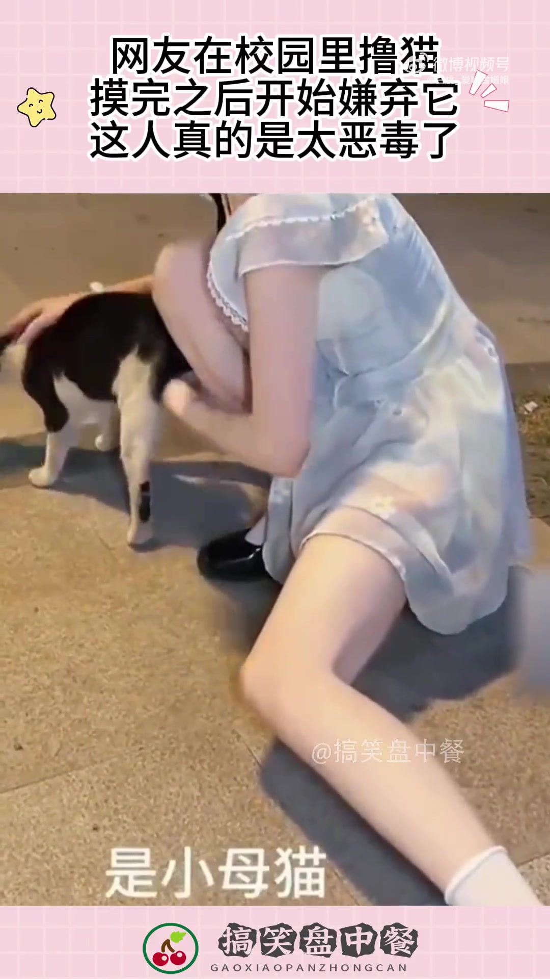 网友在校园里撸猫，摸完之后开始嫌弃它