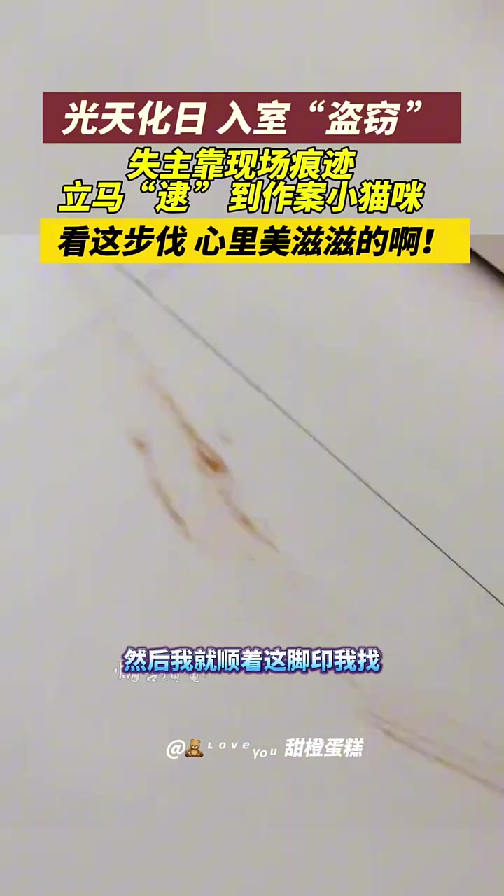 小猫：今天是个好日子！