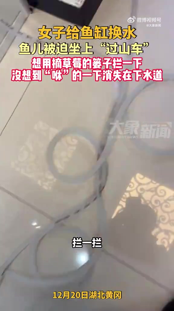 女子给鱼缸换水鱼儿被迫坐上“过山车”，没想到消失在下水道