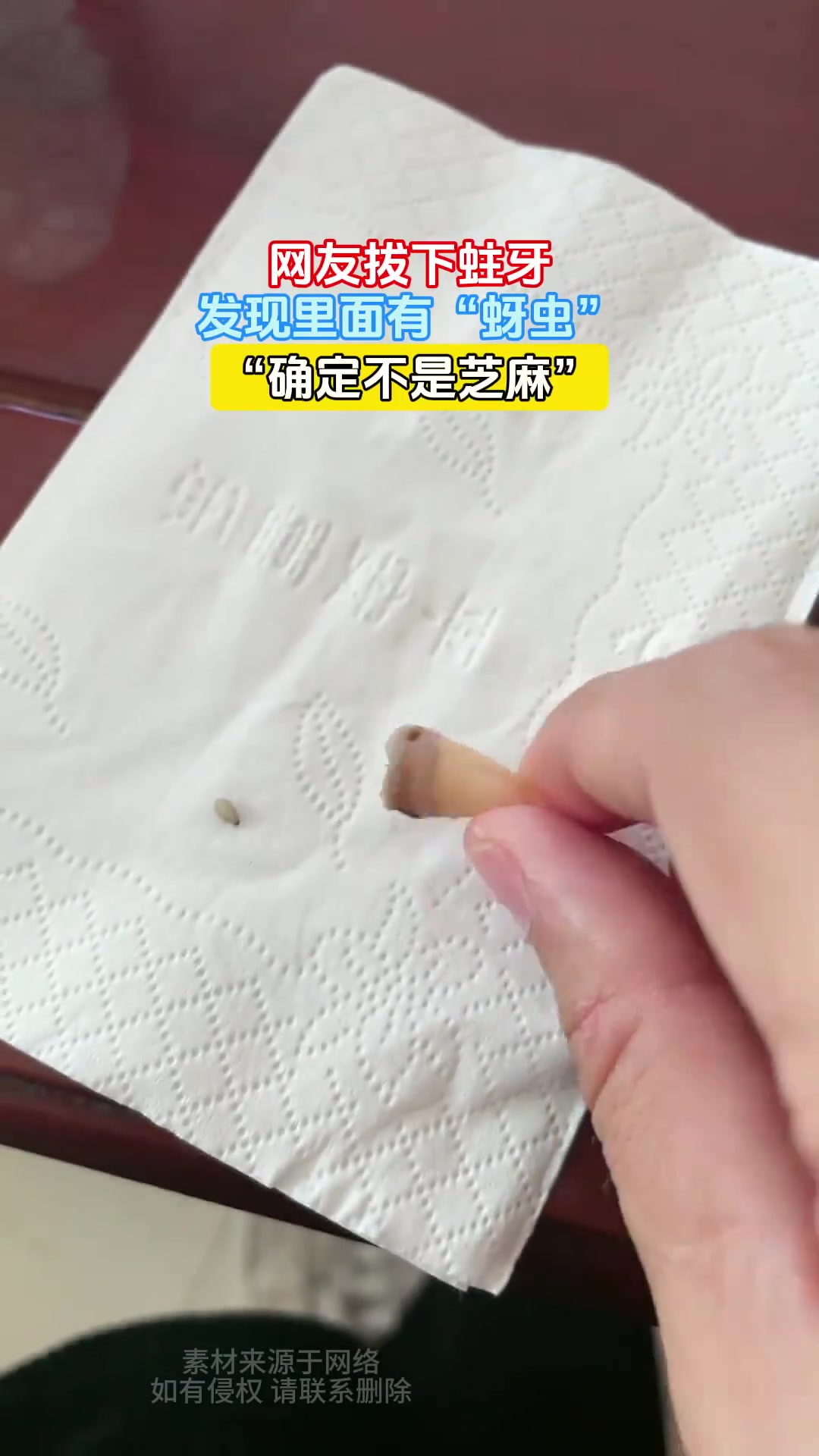 网友拔下蛀牙，发现里面有“蚜虫”，“确定不是芝麻”！