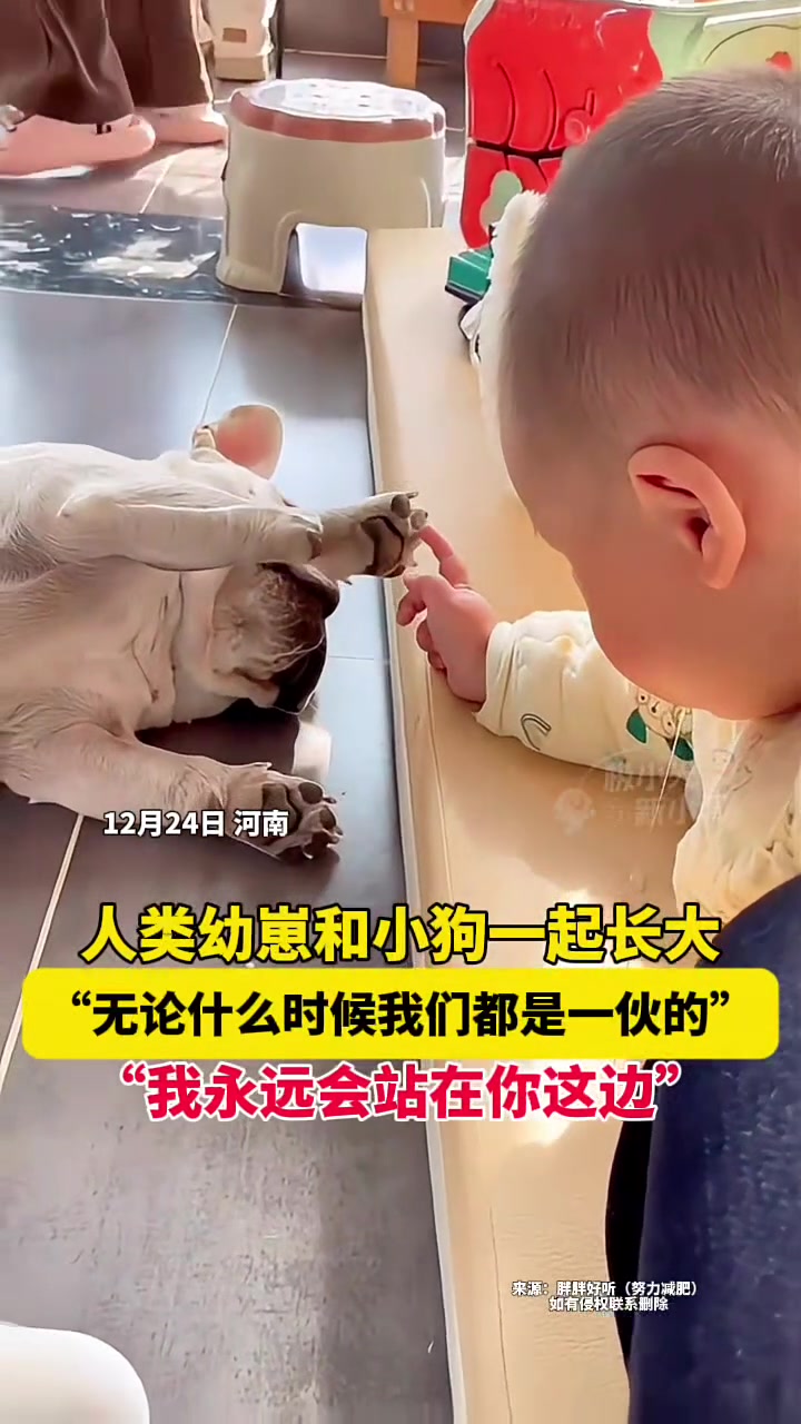 人类幼崽和小狗一起长大无论什么时候，我们都是一伙的