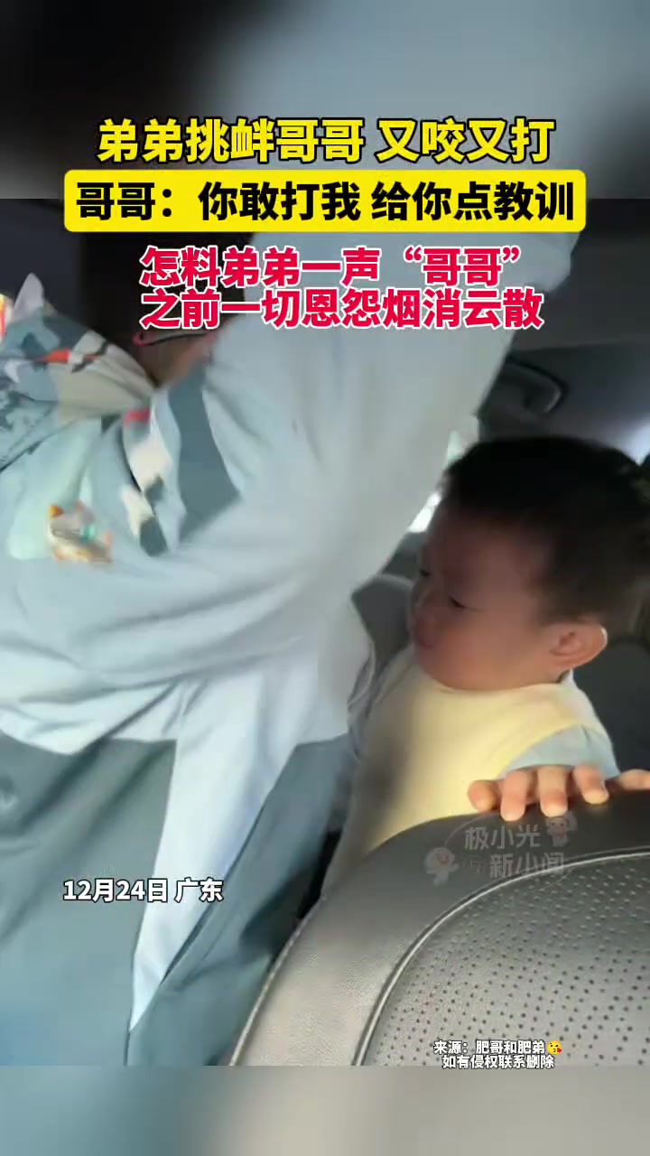弟弟挑衅哥哥又咬又打哥哥：你敢打我，给你点教训