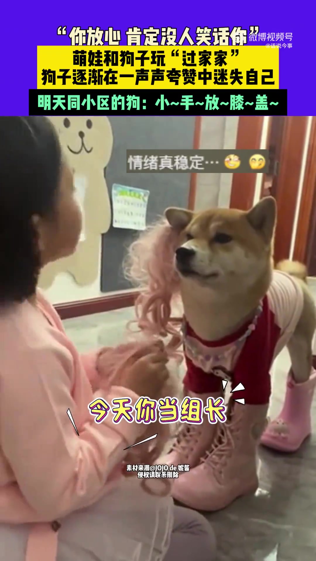 “你放心肯定没人笑话你”，萌娃和狗子玩“过家家”！