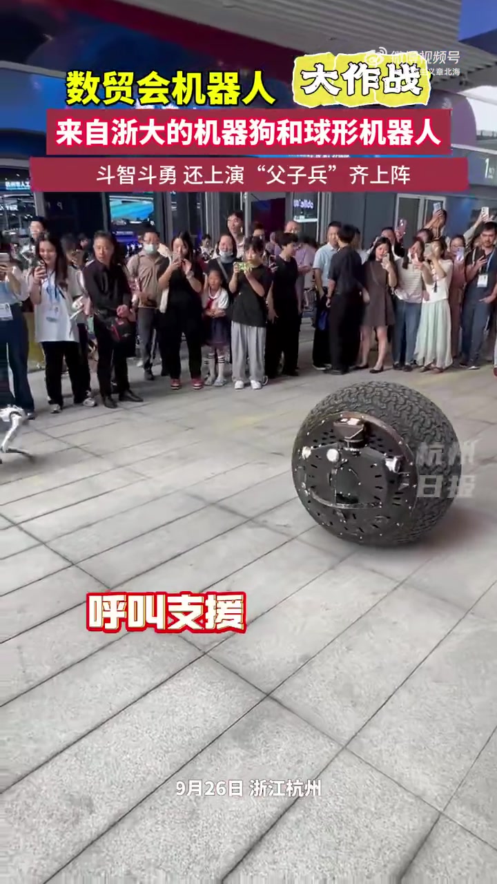 机器狗大战球形机器人，没见过吧