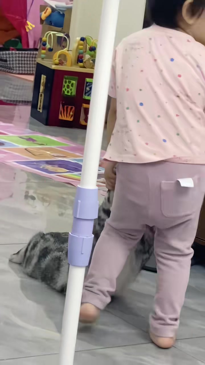 我是真对不起我家这猫啊，我就不应该给他捡回来，让他遭这活罪
