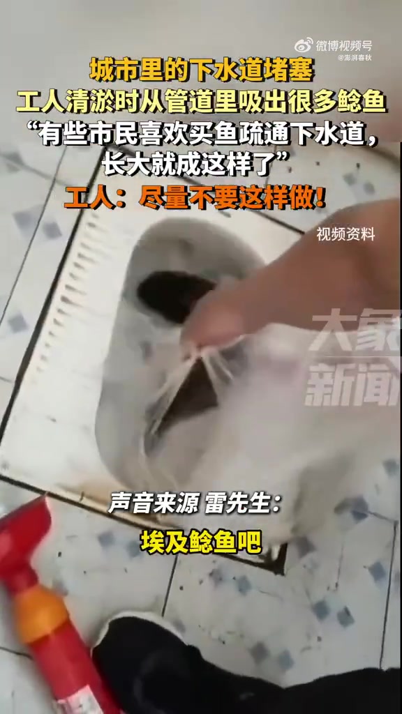 城市里的下水道堵塞，工人清淤时从管道里吸出很多鲶鱼