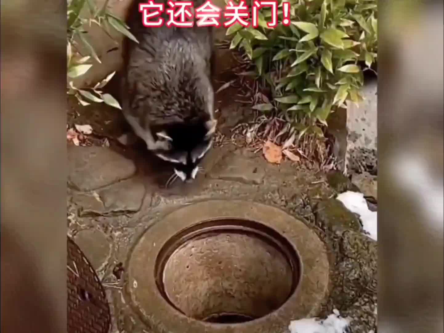 这玩意还是关门啊！