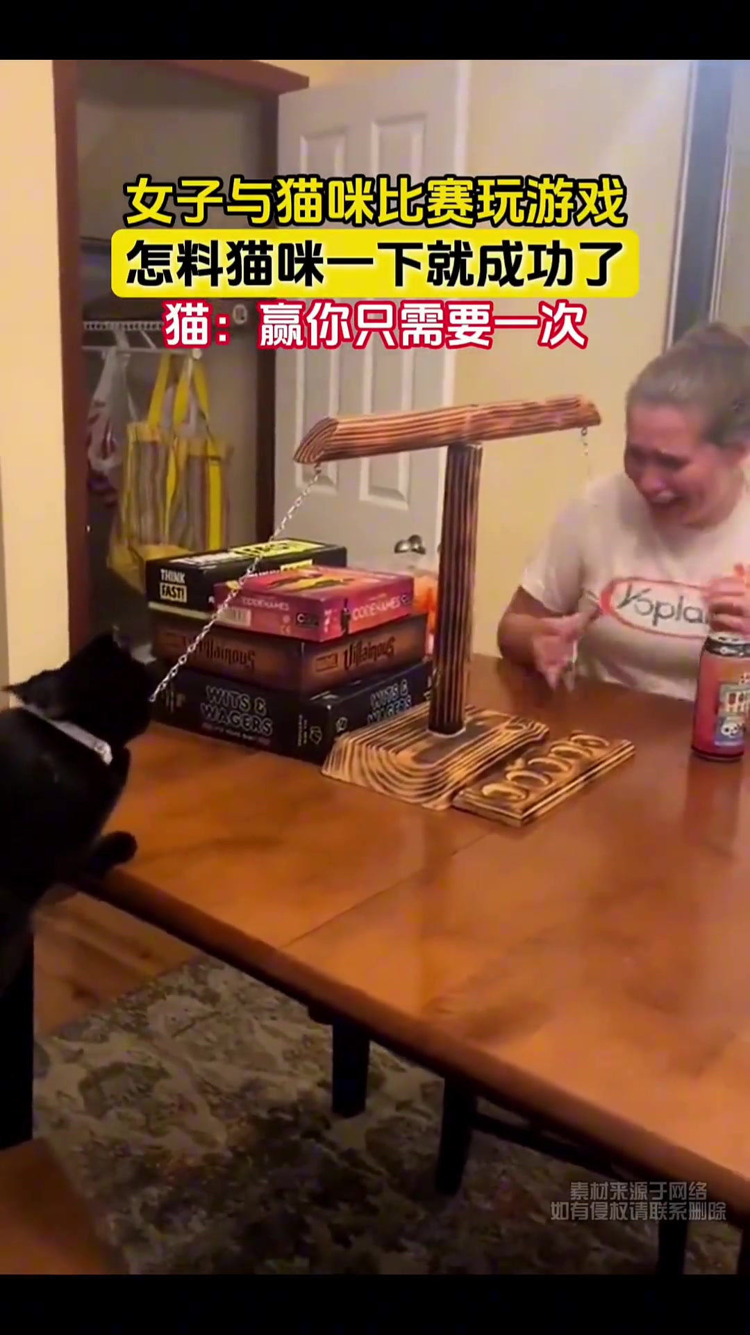 女子与猫咪比赛玩游戏，怎料猫咪一下就成功了
