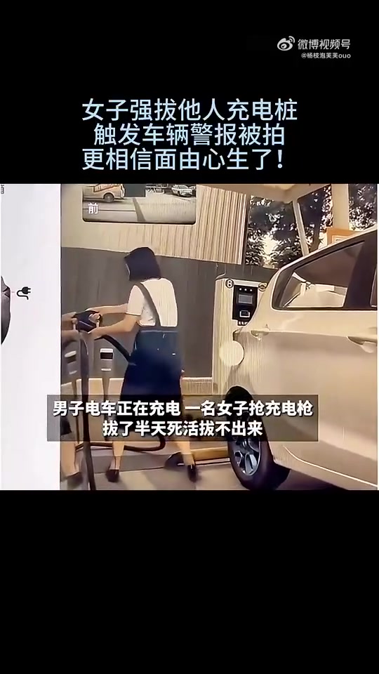 女子强拔他人充电桩，触发车辆警报被拍，更相信面由心生了！