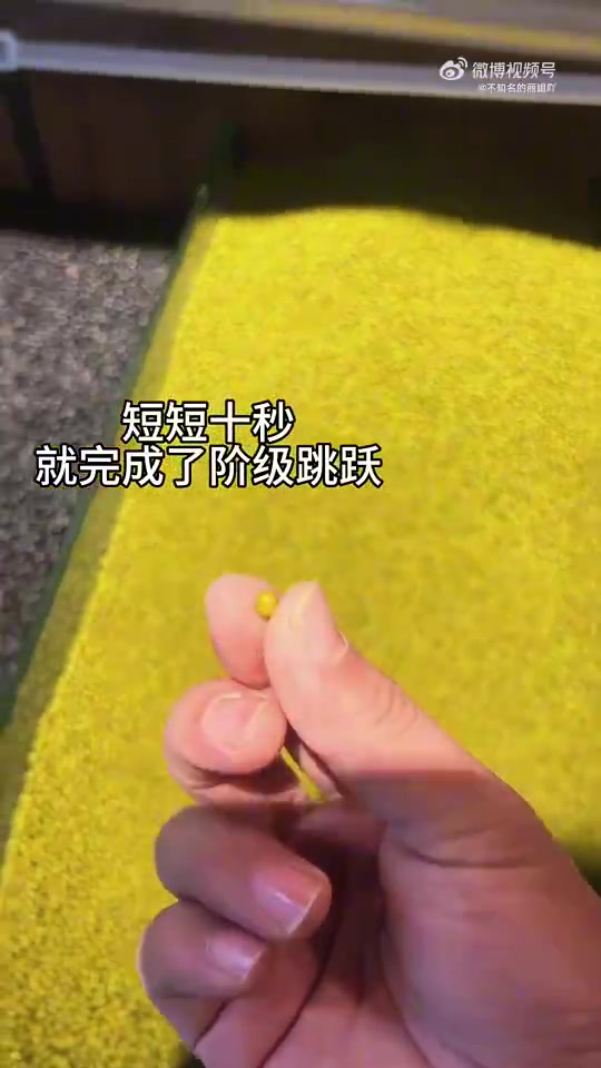 这说明了什么
