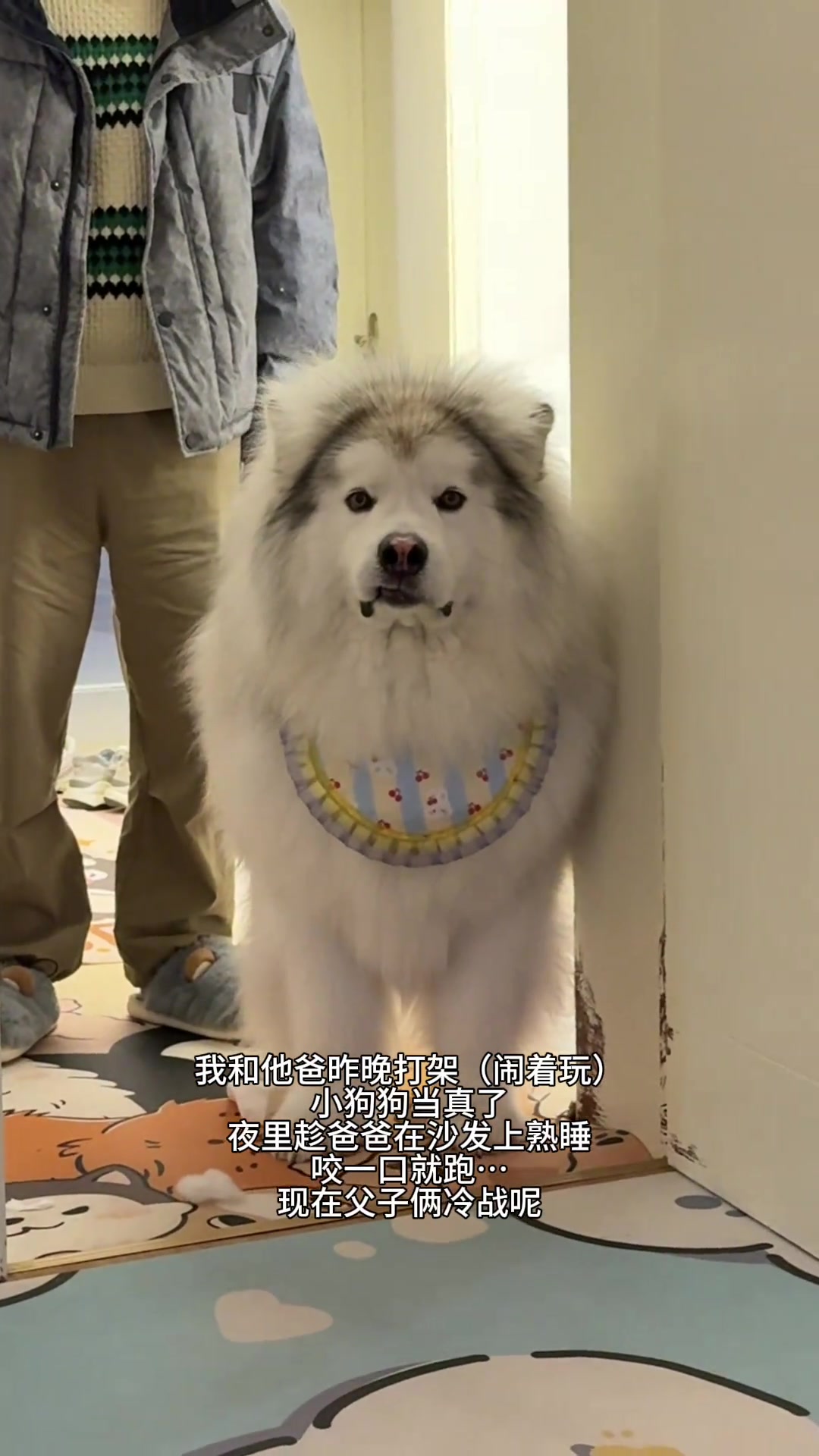 我也不知道怎么说了，他俩看起来都挺委屈的