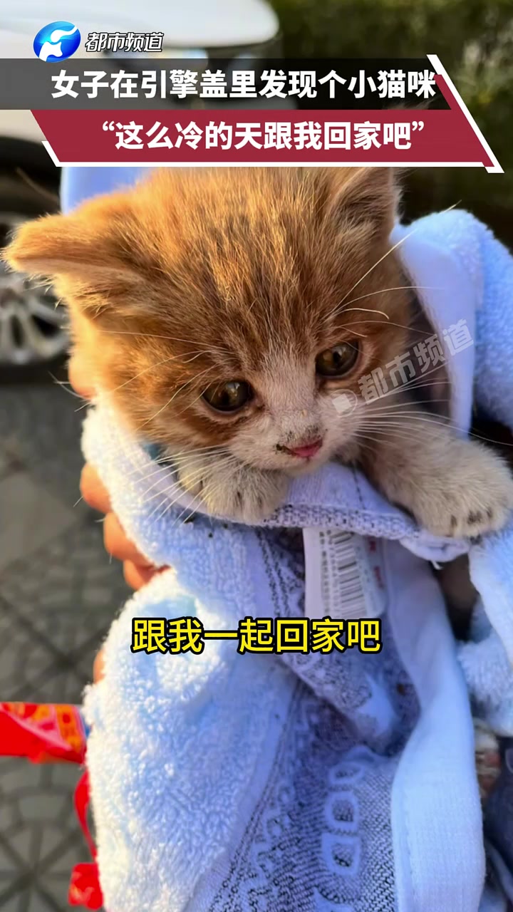 遇见就是缘分，这么冷的天跟我回家吧！