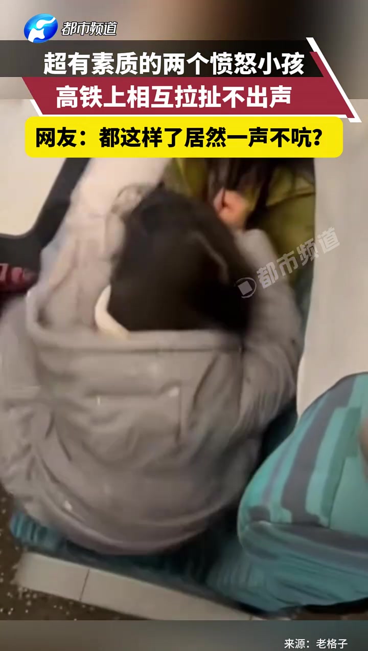超有素质的两个愤怒小孩，高铁上相互拉扯不出声