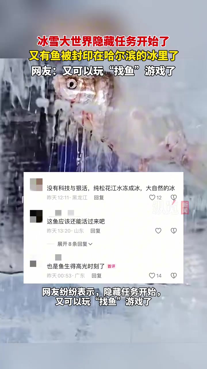 有游客在哈尔滨冰雪大世界发现了被冻在冰里的小鱼