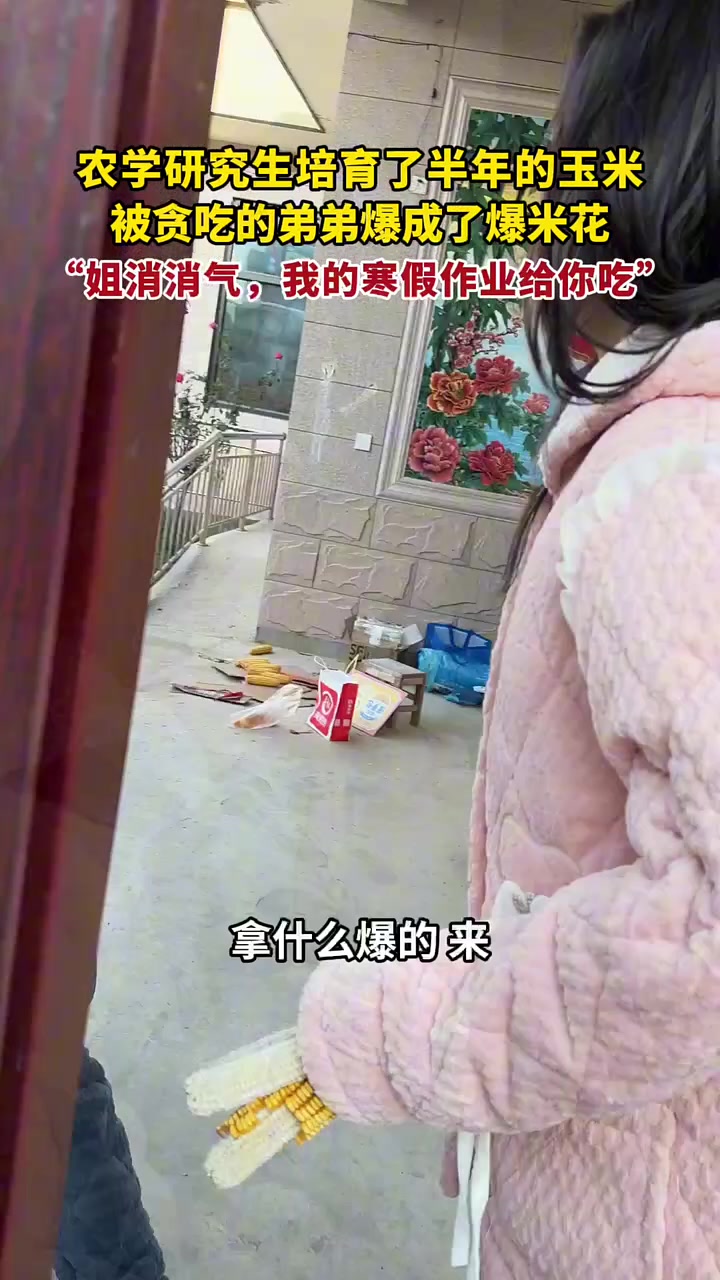 农学研究生辛苦培育了半年的玉米，被弟弟爆成了爆米花