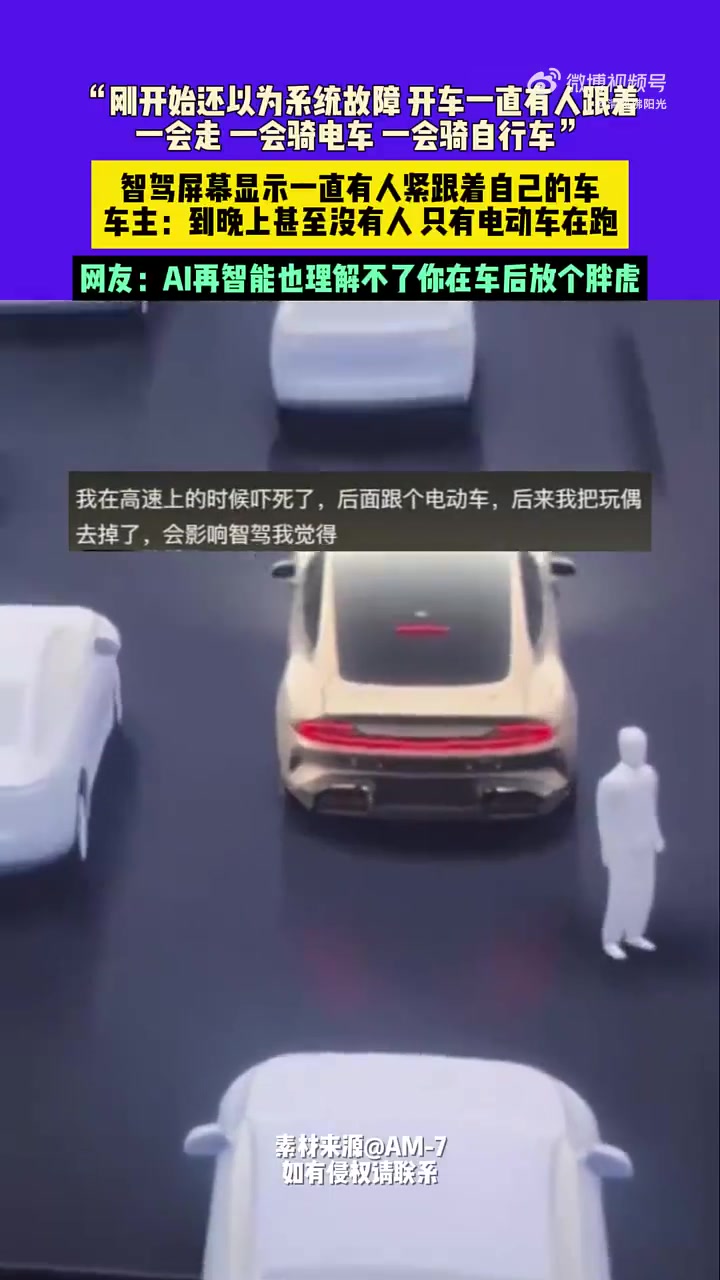 网友：AI再智能也理解不了你在车后放个胖虎