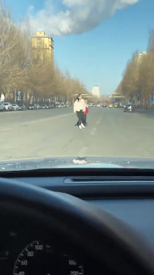 司机真果断啊！大马路上遇到这种，你会怎么处理