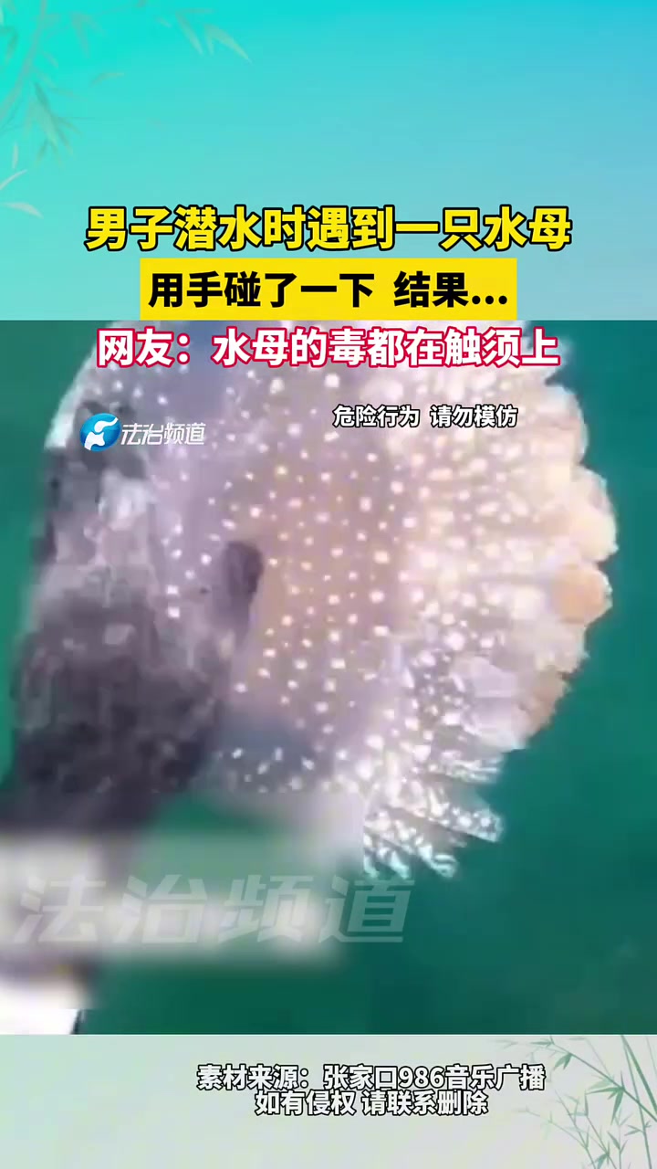 男子潜水时遇到一只水母，用手碰了一下结果...