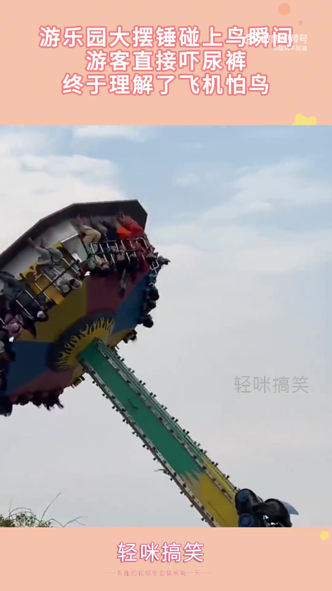 游乐园大摆锤碰上鸟瞬间