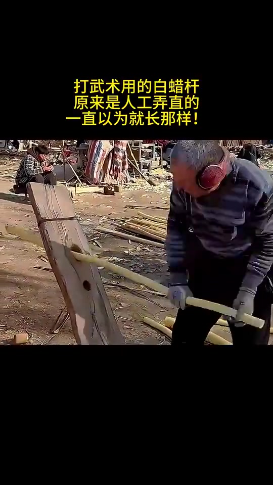 打武术用的白蜡杆，原来是这样做的