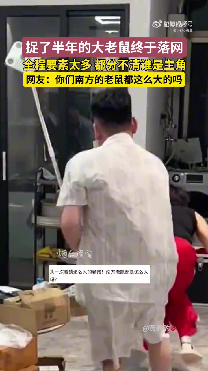 捉了半年的大老鼠终于落网，一时分不清到底谁才是主角