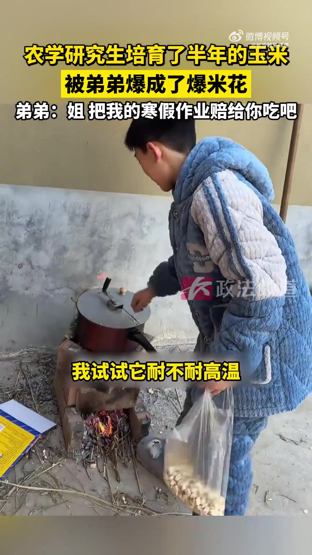 农学研究生培育了半年的玉米，被弟弟爆成了爆米花