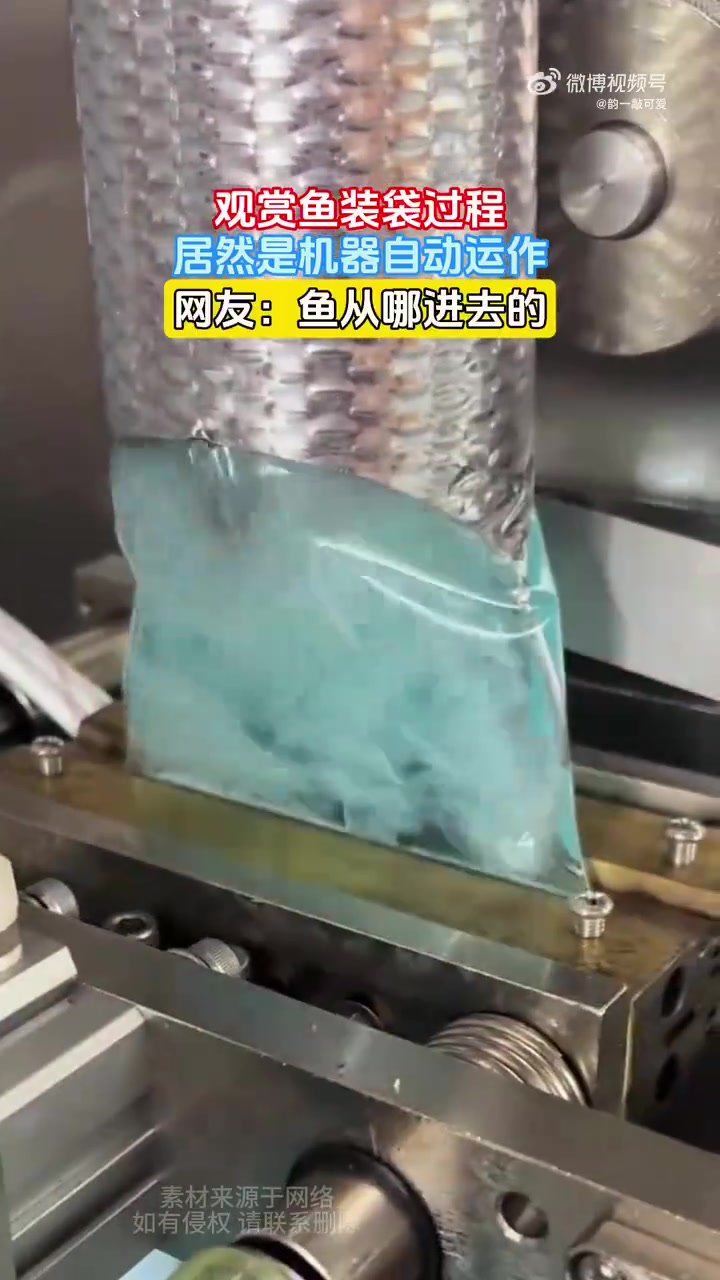 观赏鱼装袋过程机器自动运作，网友疑惑鱼从何进