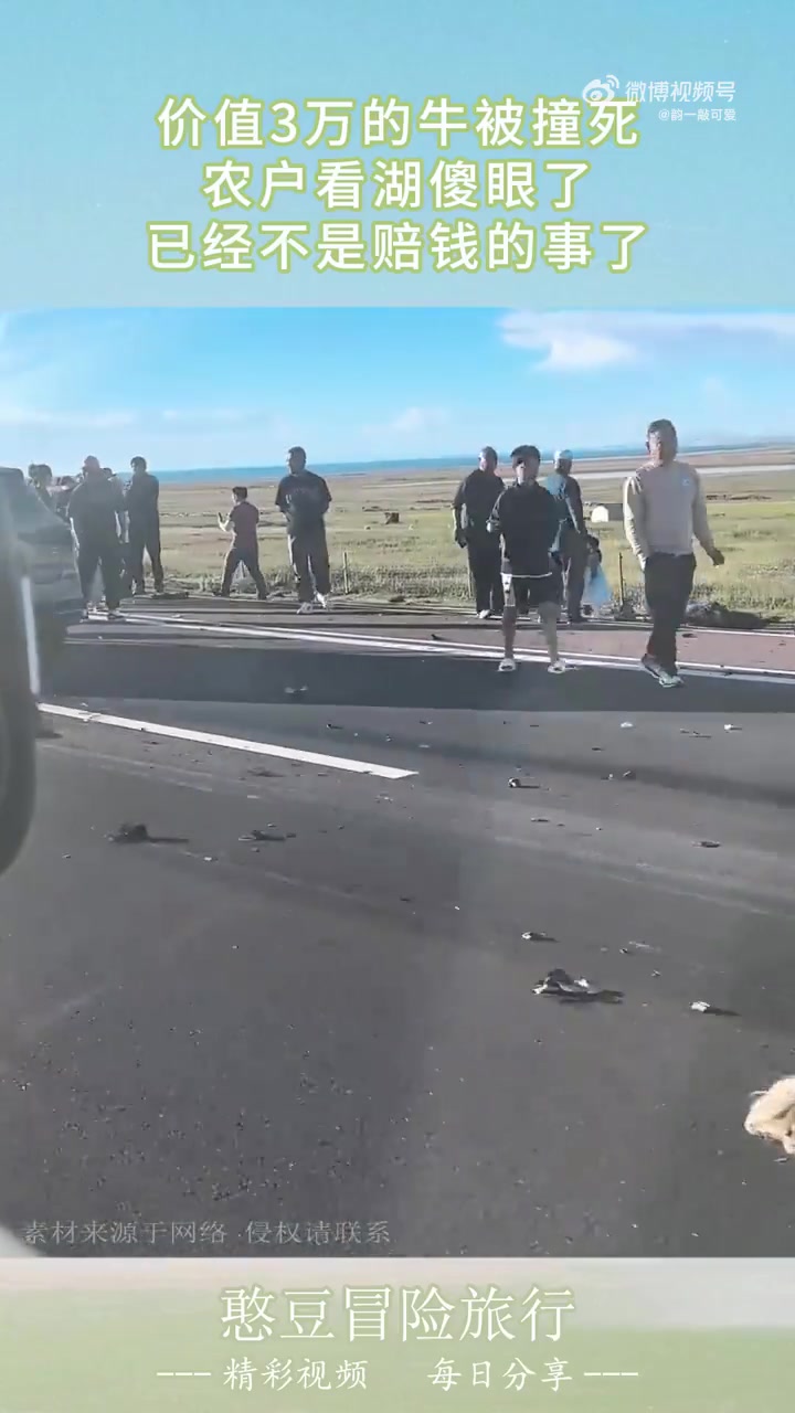 价值3万的牛被撞死，农户傻眼，已非赔钱之事