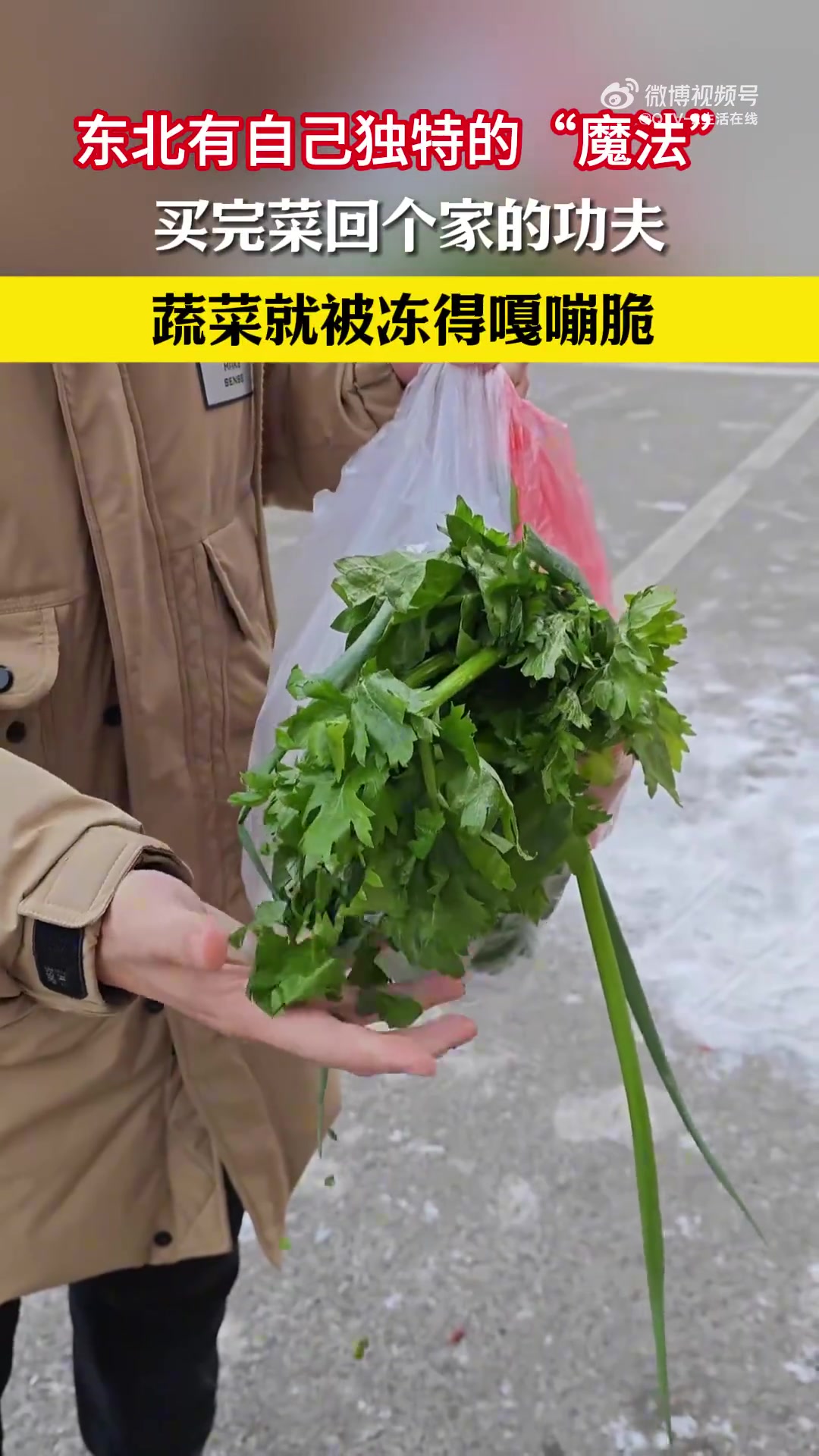 东北有自己独特的“魔法”，买完菜回个家的功夫