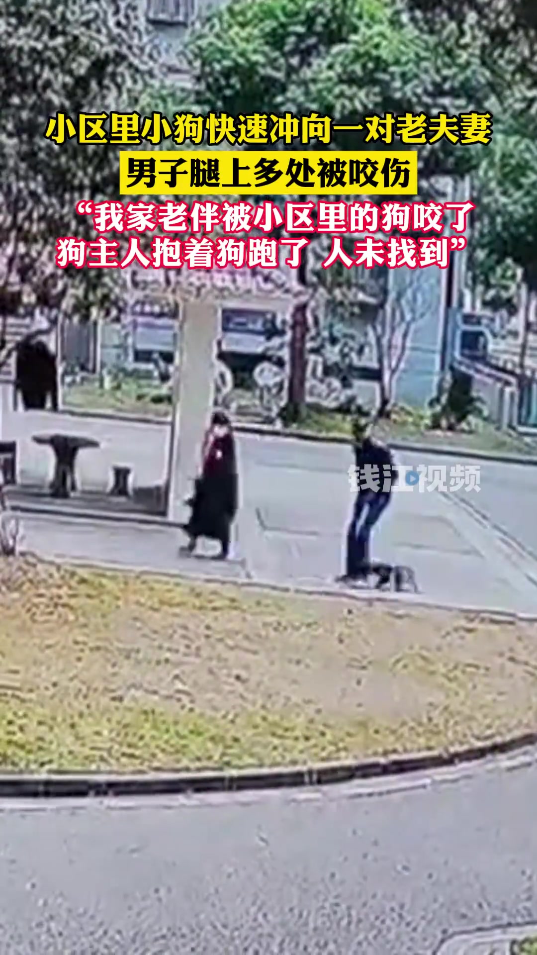 遛狗不牵绳，小狗咬伤小区居民，狗主人抱着狗径直离开