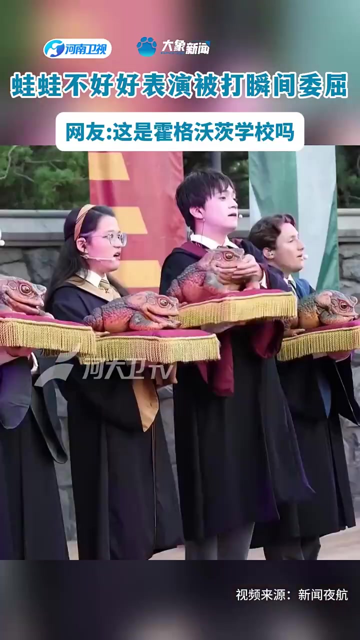蛙蛙不好好表演被打瞬间委屈网友这是霍格沃茨学校吗