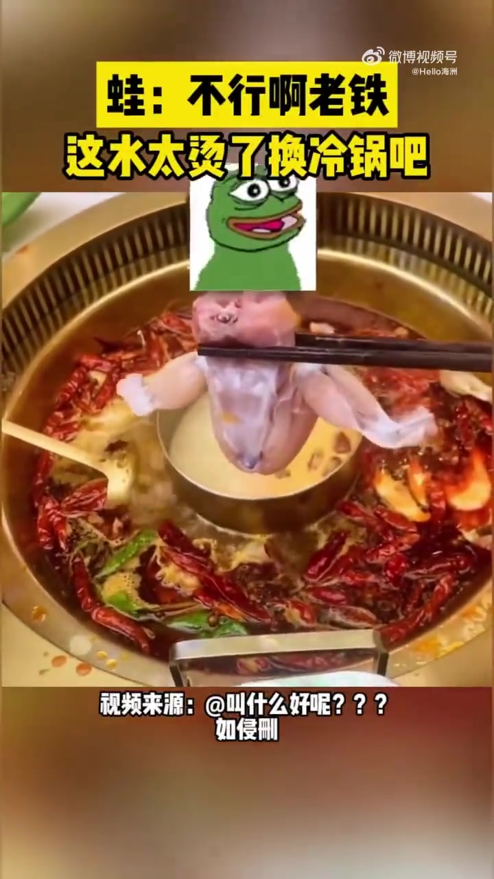 蛙：不行啊老铁这水太烫了换冷锅吧