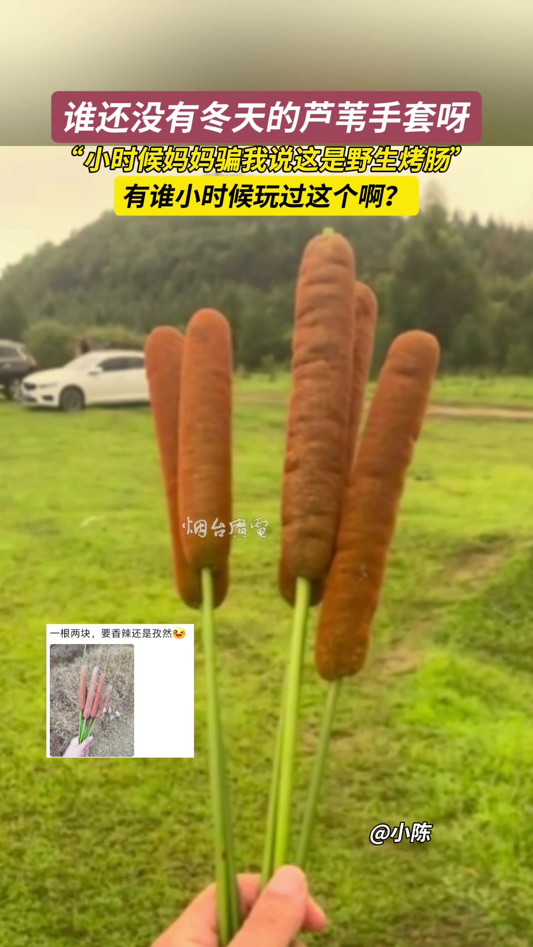 谁还没有冬天的芦苇手套啊小时候妈妈骗我说这是野生烤肠