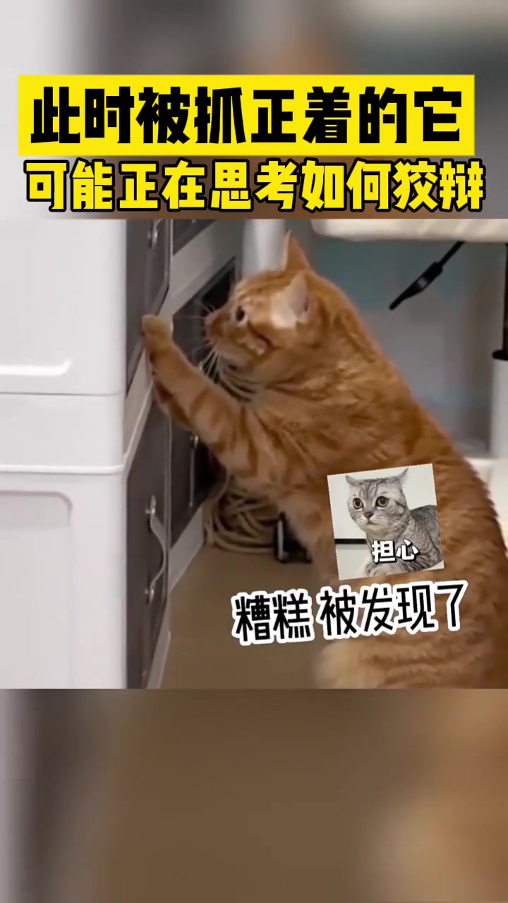 此时它可能正在思考被抓包后如何狡辩