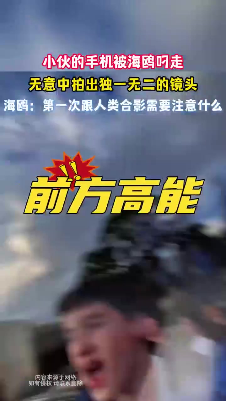 海鸥：第一次跟人类合影需要注意什么