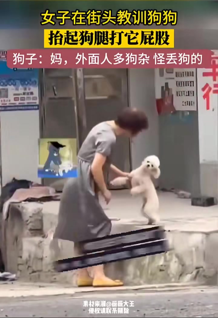 狗子妈外面人多怪丢狗的