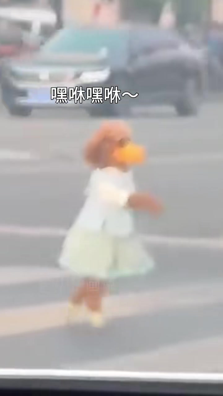 起猛了！看见一只走路的狗子