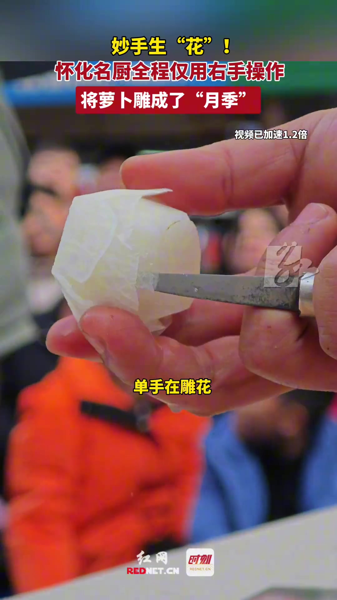 怀化名厨全程仅用右手操作，将萝卜雕成了“月季”