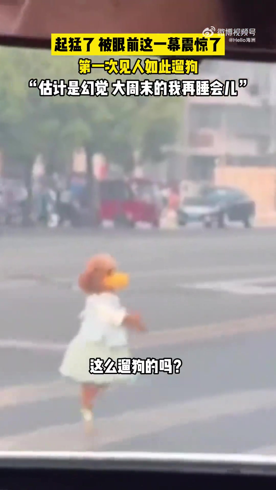 起猛了被眼前这一幕震惊了，第一次见人如此遛狗