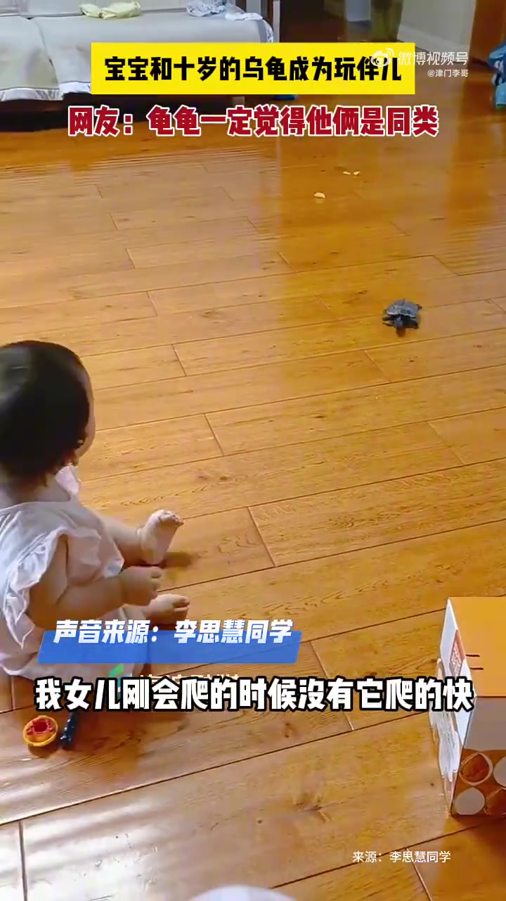 寶寶和十歲的烏龜成為玩伴兒，網(wǎng)友：龜龜一定覺得他倆是同類