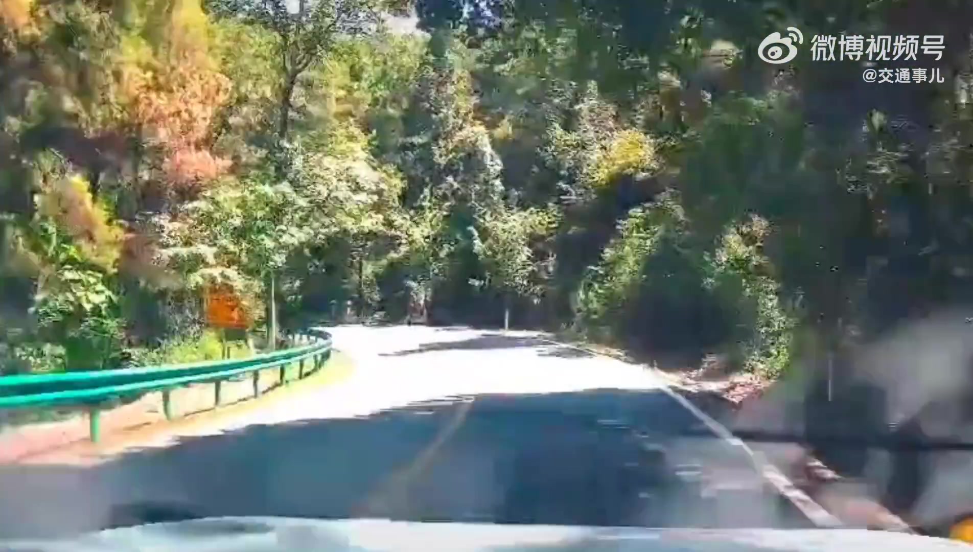 视频车司机已经很谨慎了，没想到对面司机这么不靠谱