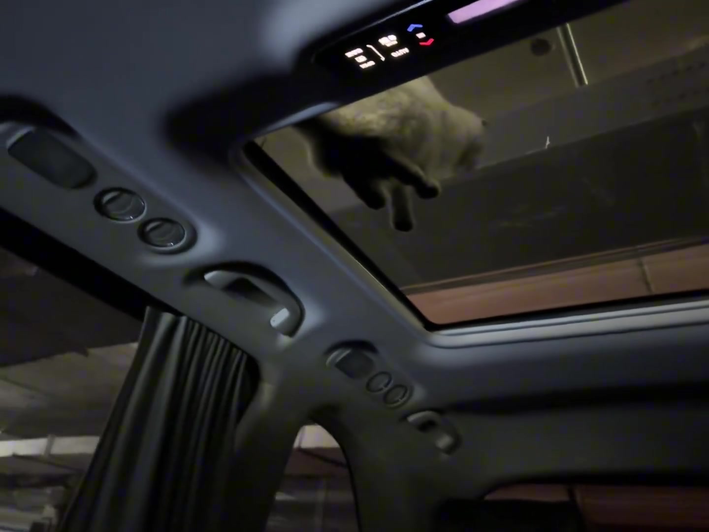 猫：你这狗东西给我等着