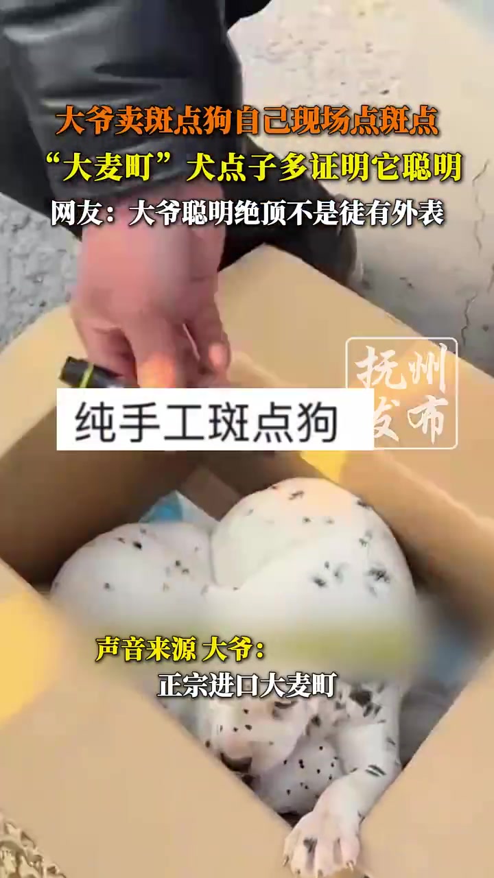 大爷现场点斑点卖斑点狗，证明其聪明绝顶