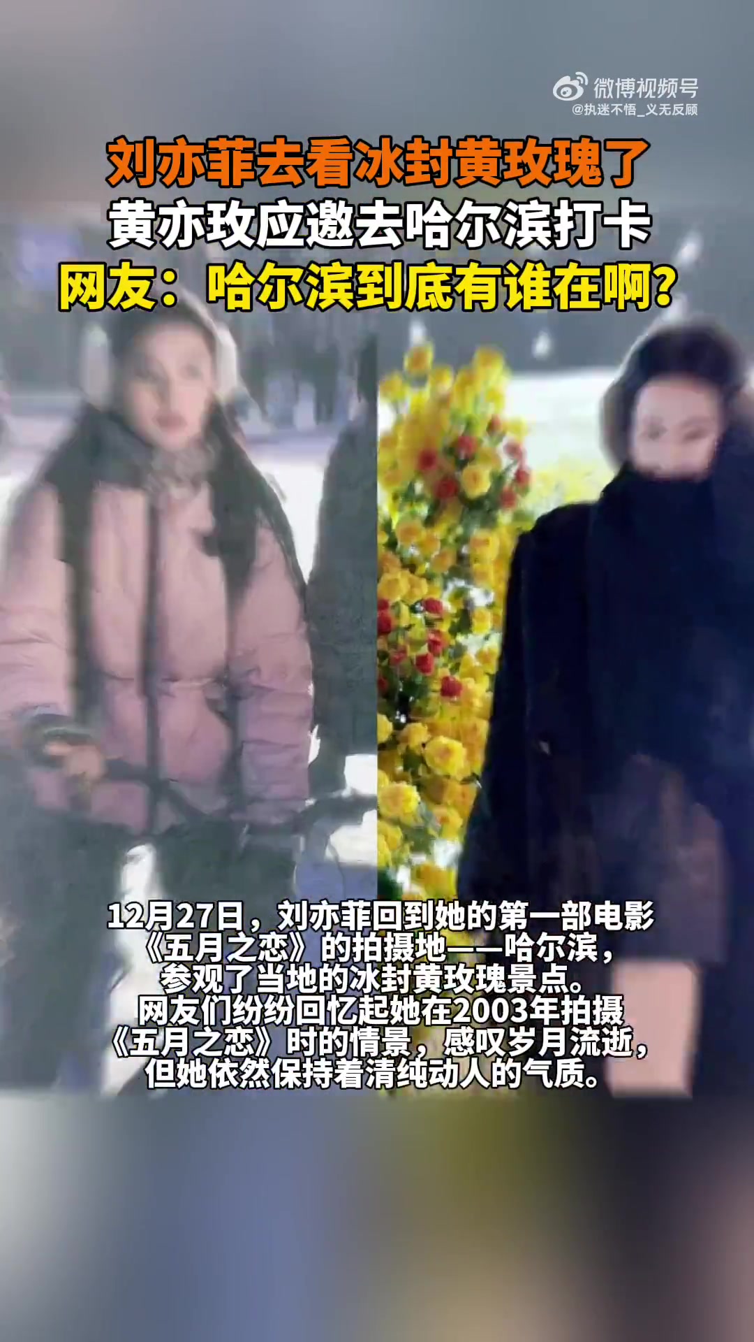 刘亦菲看冰封黄玫瑰，黄亦玫赴哈尔滨打卡引网友疑问
