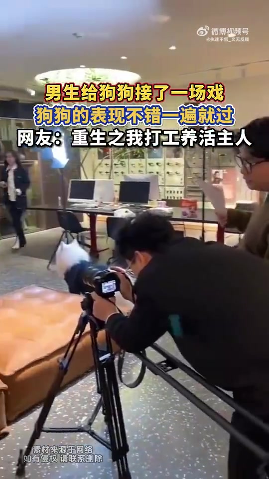 男生给狗狗接戏，狗狗一遍过，网友：重生之我打工养活主人
