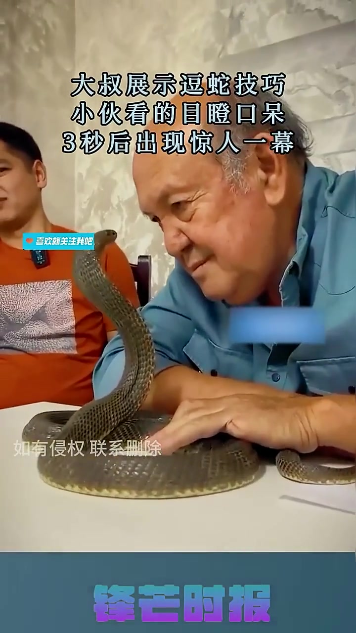 大叔展示逗蛇技巧，小伙看的目瞪口呆，3秒后出现惊人一幕！